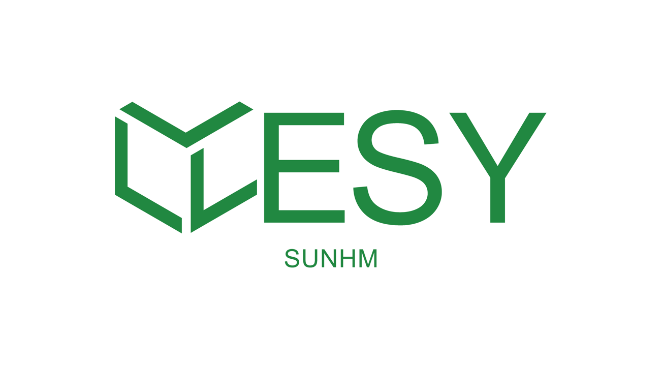 ESY Logo